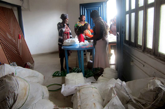 Fight Against Malaria 2