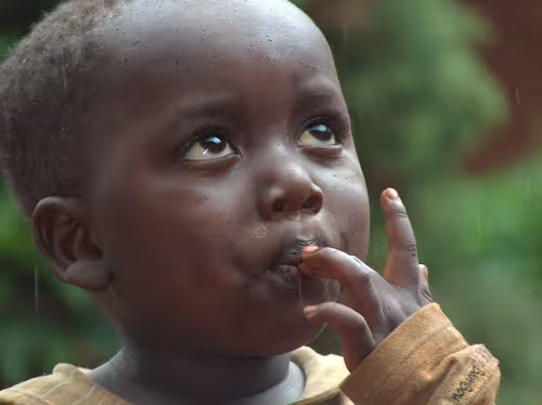 Cameroon in Photos